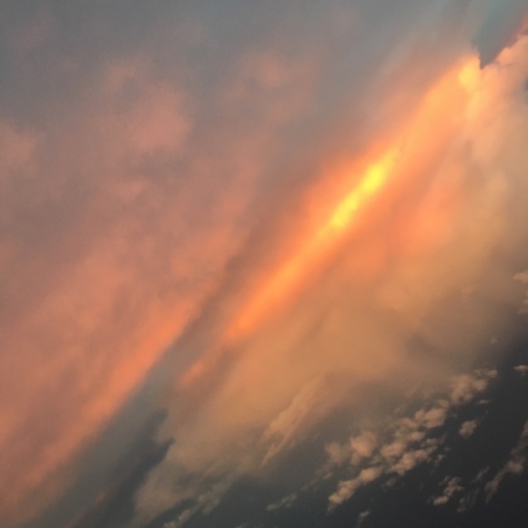 Meet your Posher, Saige - Picture 1 of 1